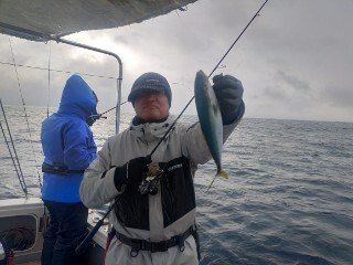 フクラギ(ブリ)