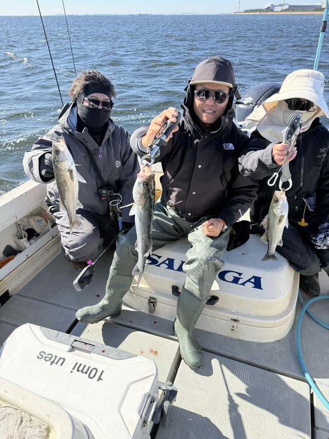 シーバス(スズキ)