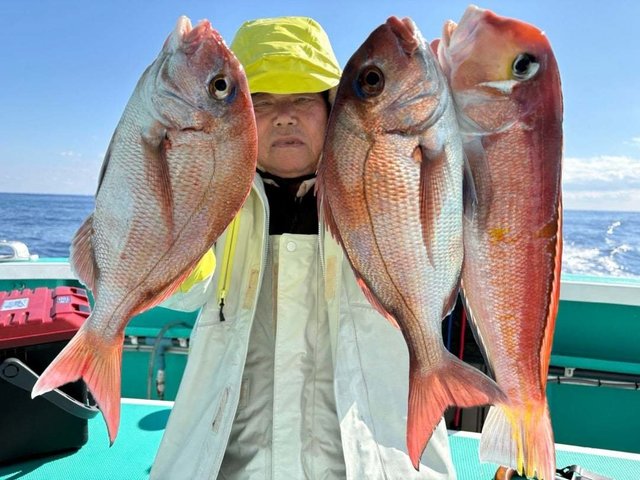 マダイ・アマダイ(アカアマダイ)