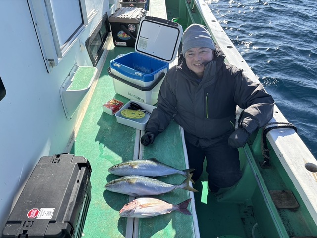 マダイ・イナダ(ブリ)