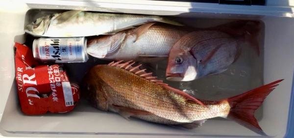 マダイ・ハナダイ(チダイ)・アジ(マアジ)