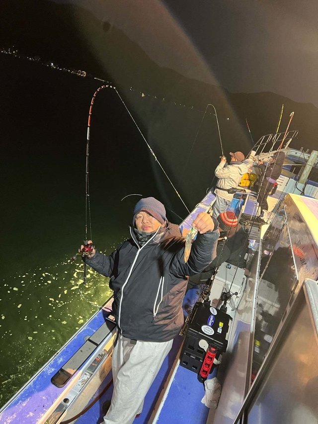 マルイカ(ケンサキイカ)