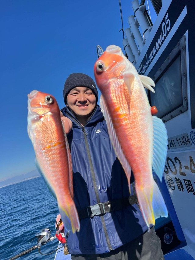 アマダイ(アカアマダイ)