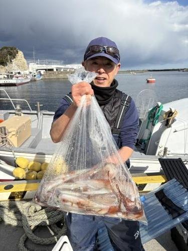 ヤリイカ・スルメイカ