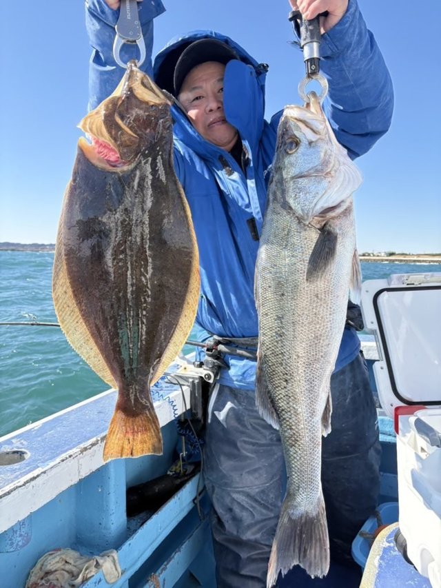 スズキ・ヒラメ