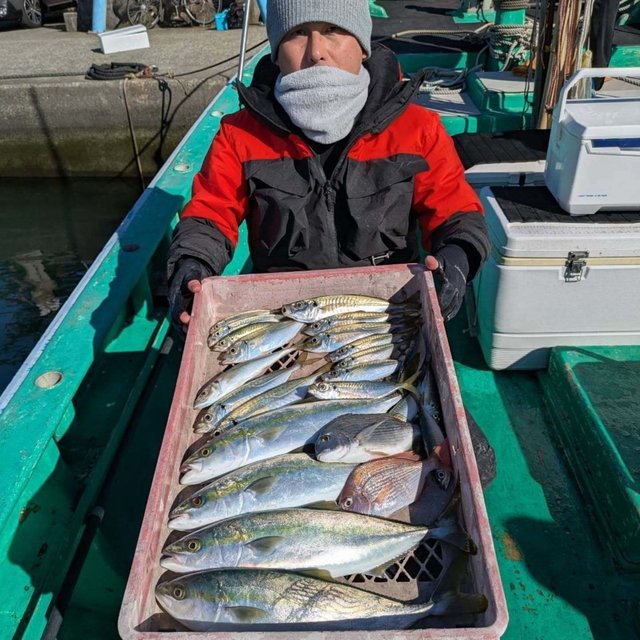 ハナダイ(チダイ)・ヘダイ・アジ(マアジ)・イナダ(ブリ)