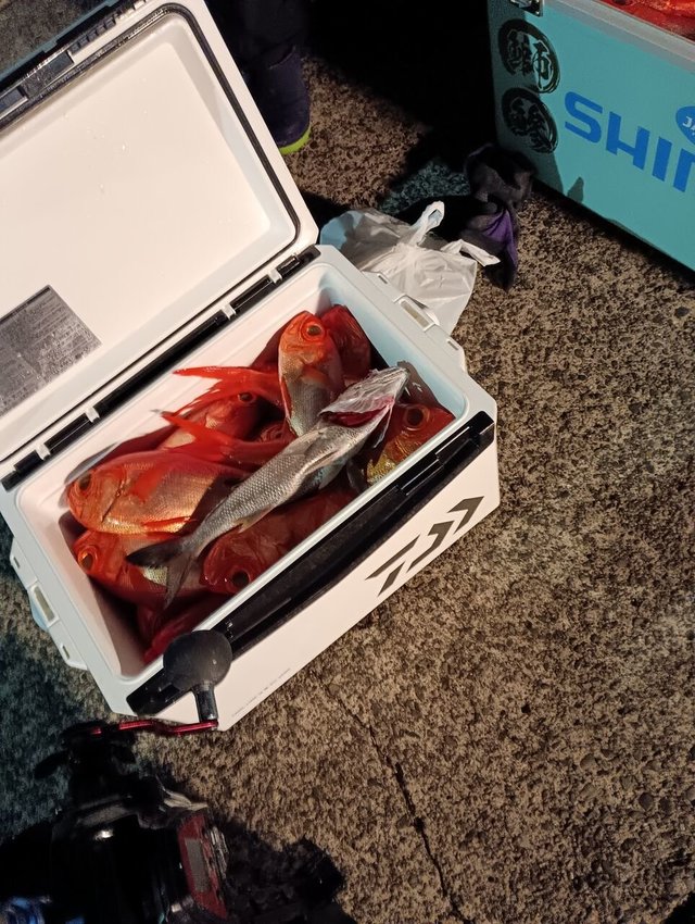 クロムツ・キンメ(キンメダイ)