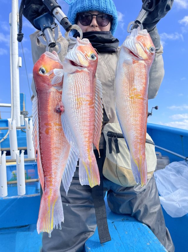 アマダイ(アカアマダイ)