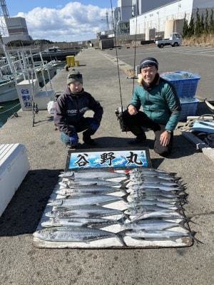 サワラ・サゴシ(サワラ)