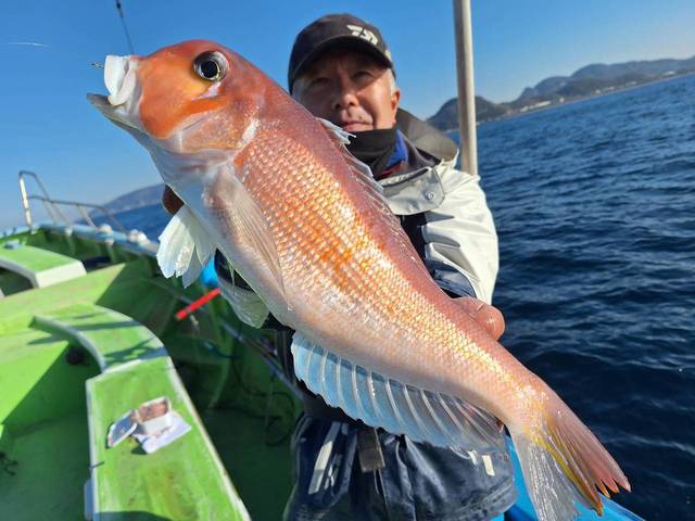 アマダイ(アカアマダイ)