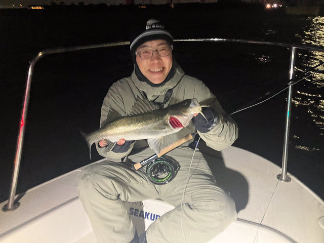 シーバス(スズキ)