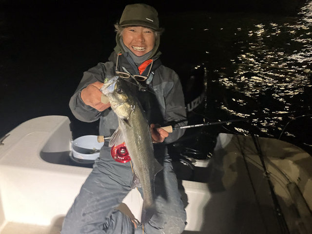 シーバス(スズキ)