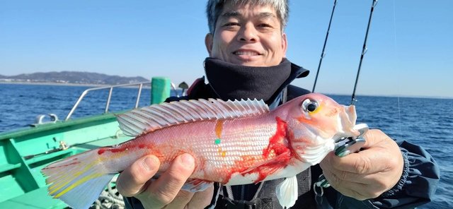 アマダイ(アカアマダイ)