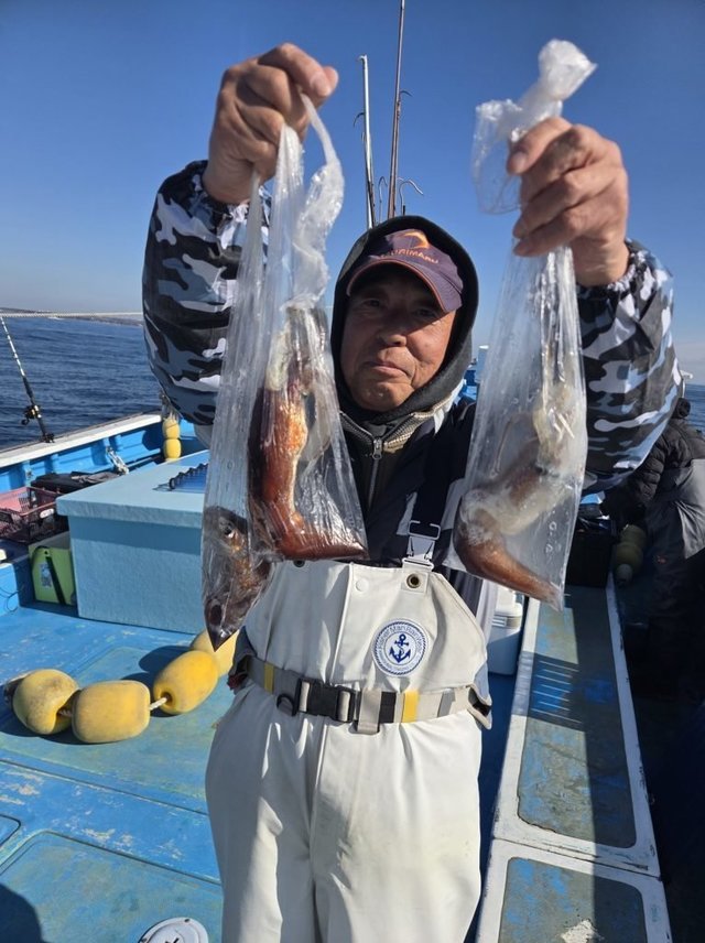 イカ(ケンサキイカ)