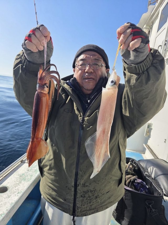 イカ(ケンサキイカ)