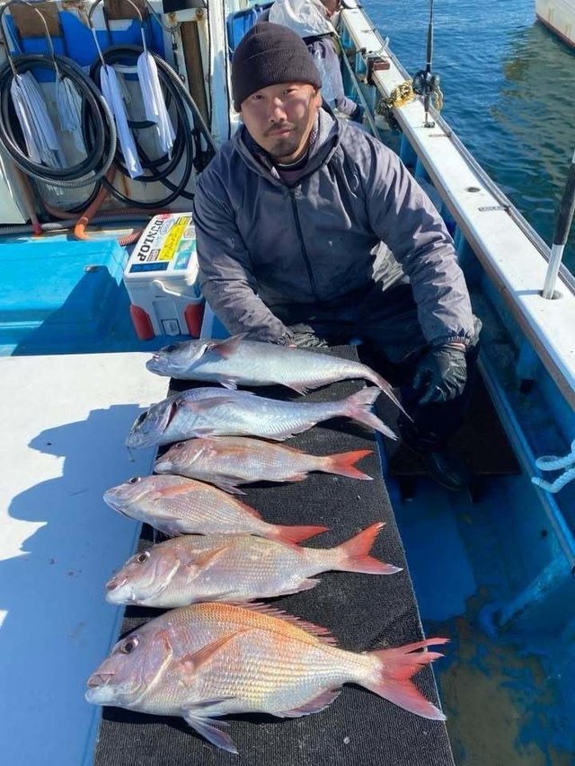 マダイ・メダイ