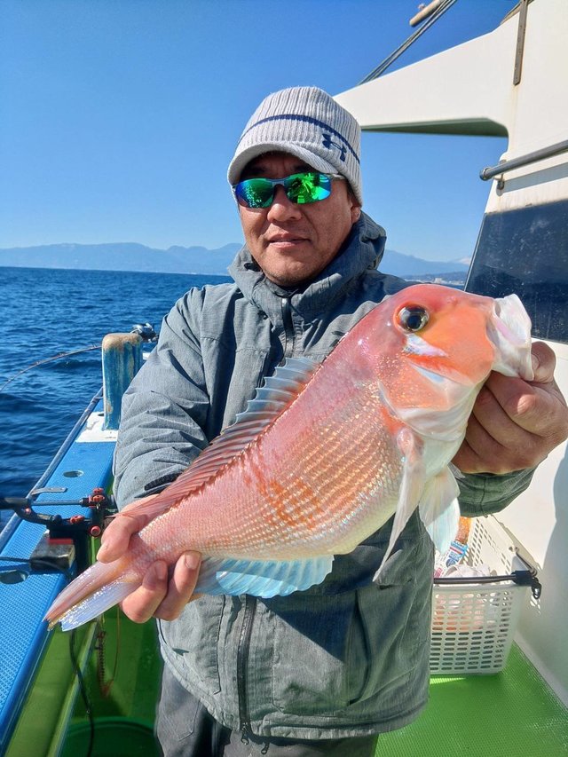 アマダイ(アカアマダイ)