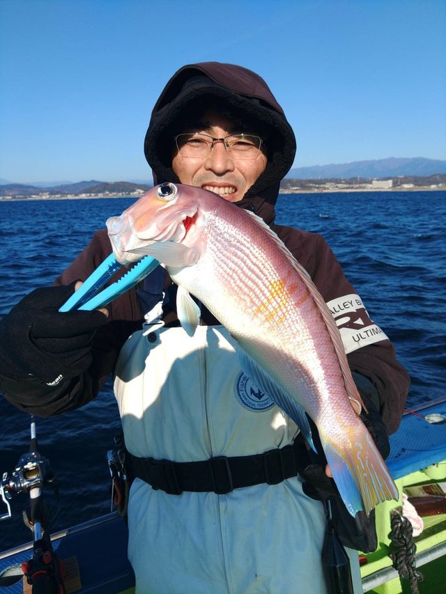 アマダイ(アカアマダイ)