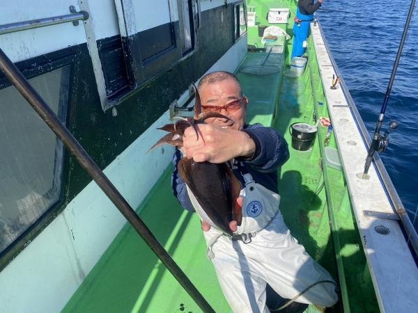 モンゴウ(カミナリイカ)