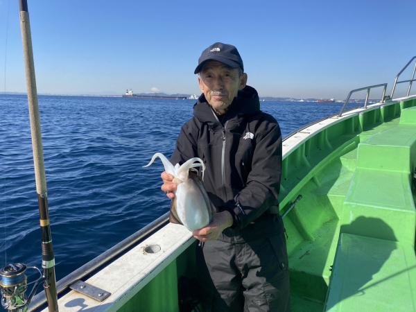 モンゴウ(カミナリイカ)