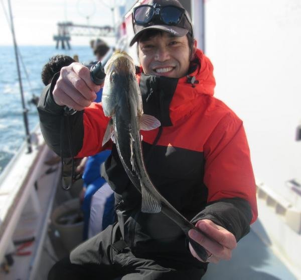 シーバス(スズキ)