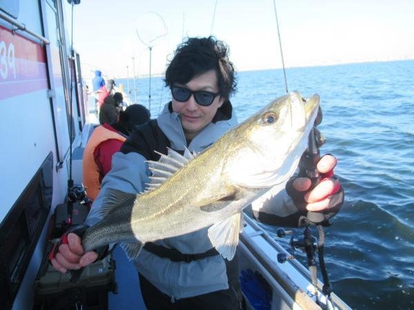 シーバス(スズキ)