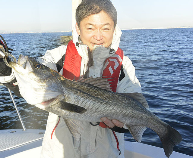 シーバス(スズキ)