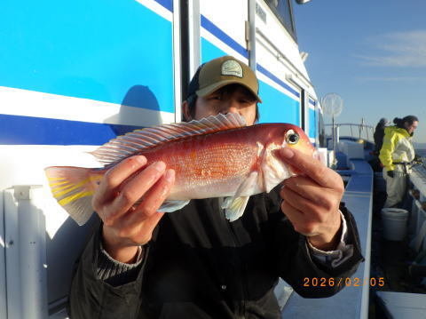 アマダイ(アカアマダイ)