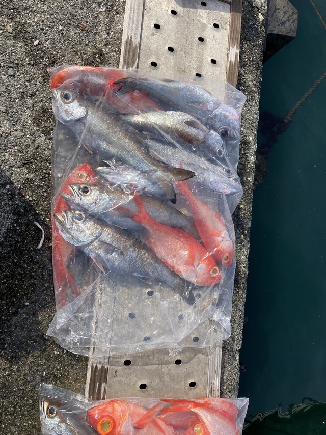 クロムツ・キンメ(キンメダイ)