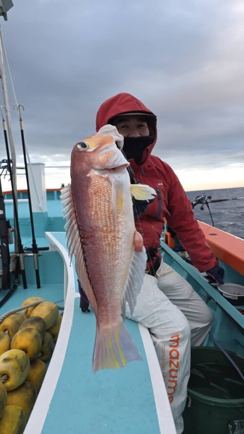 アマダイ(アカアマダイ)