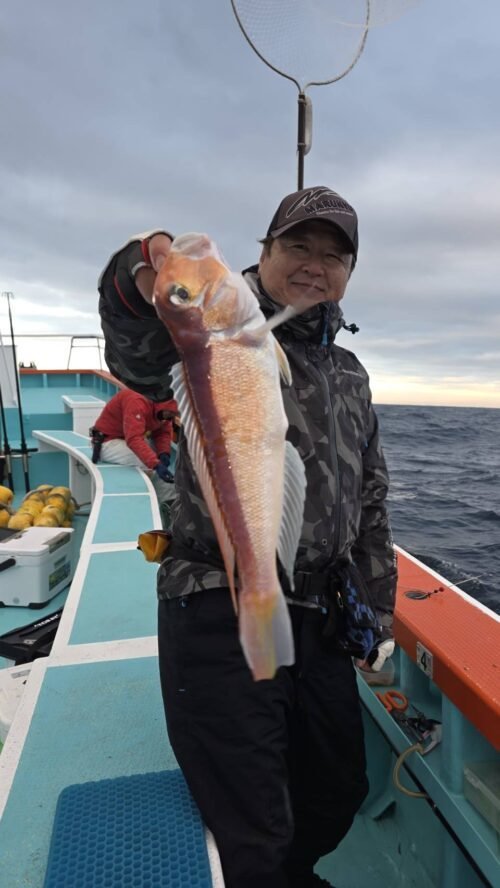 アマダイ(アカアマダイ)