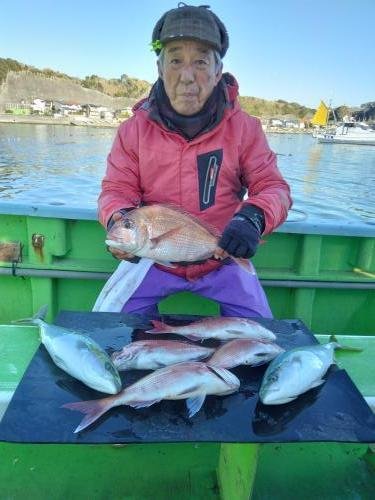 マダイ・イナダ(ブリ)