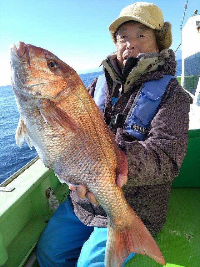 アマダイ(アカアマダイ)