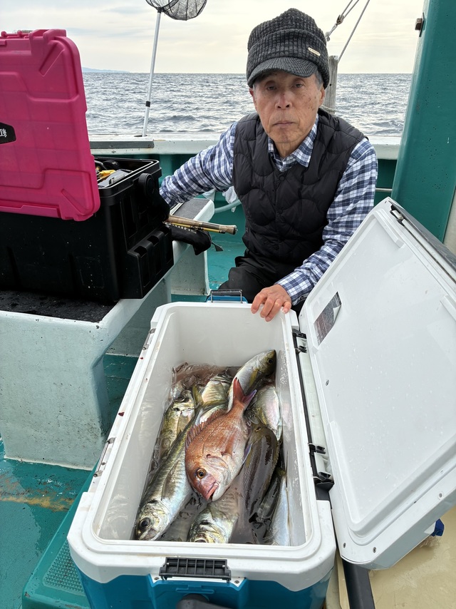 マダイ・マアジ