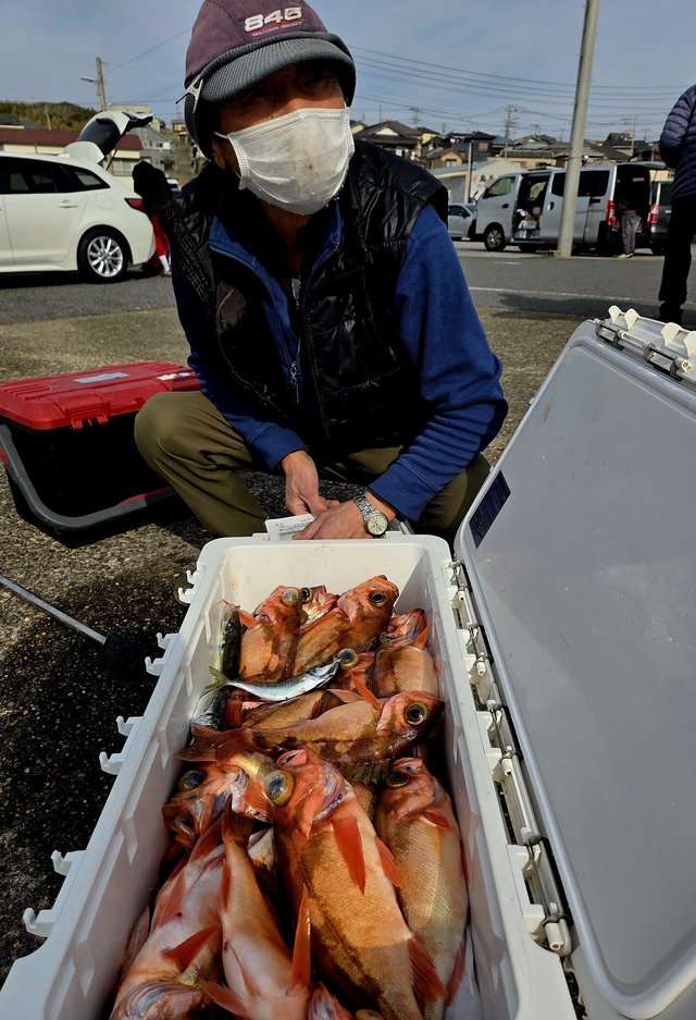 オキメバル(ウスメバル)