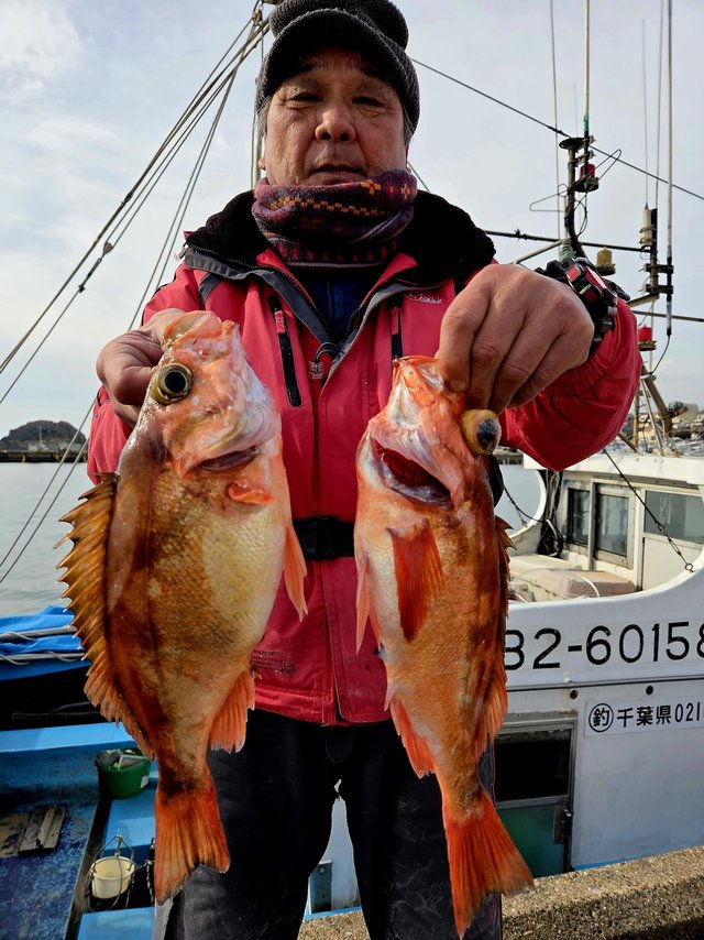 オキメバル(ウスメバル)