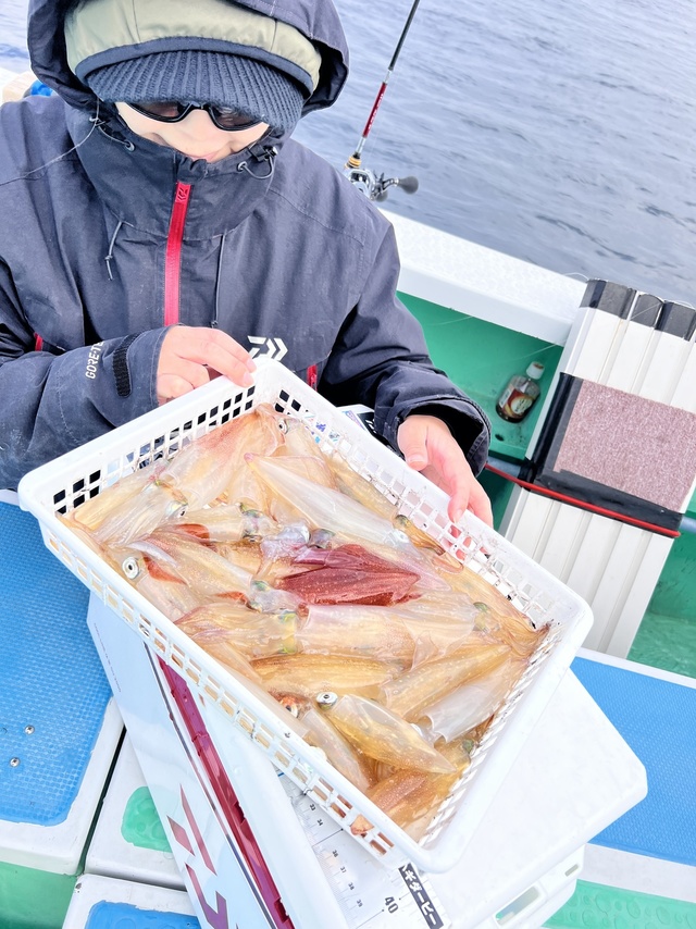 マルイカ(ケンサキイカ)