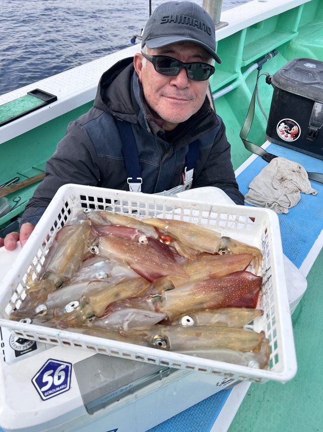 マルイカ(ケンサキイカ)