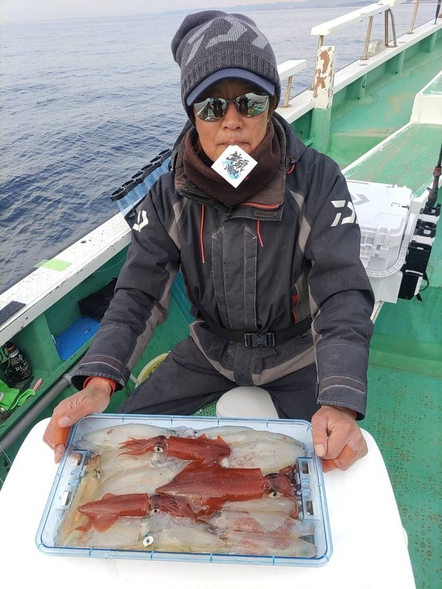 マルイカ(ケンサキイカ)