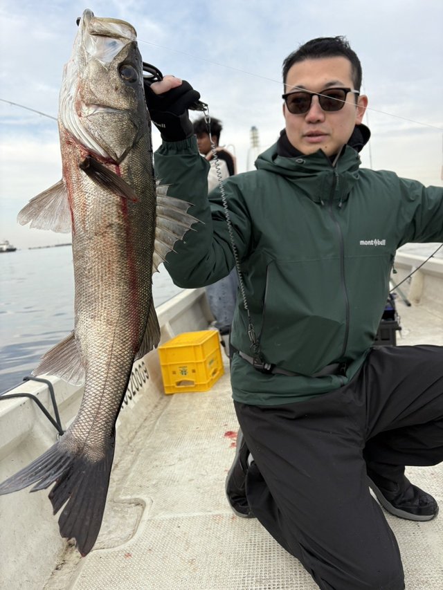 シーバス(スズキ)