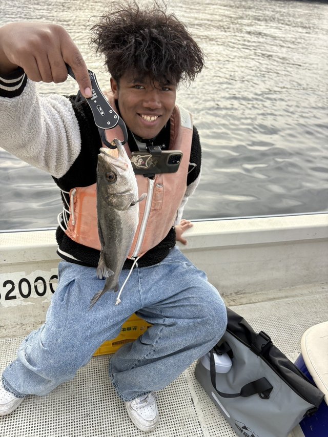 シーバス(スズキ)