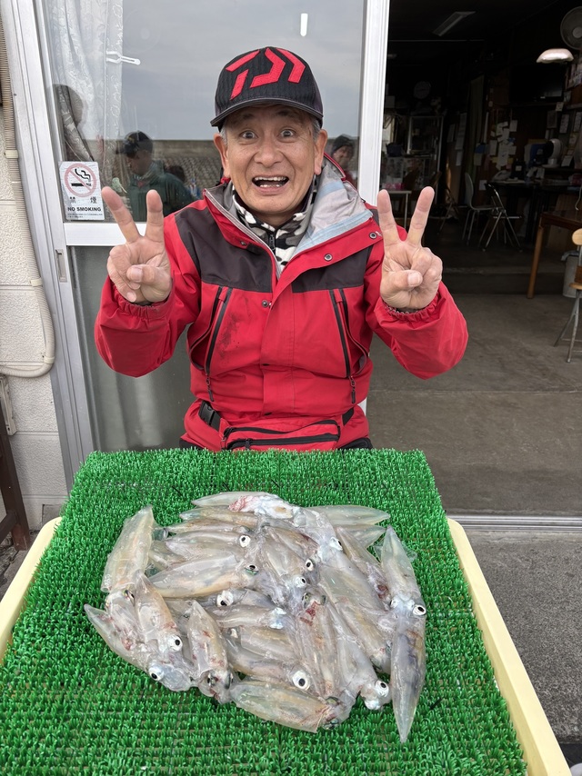 マルイカ(ケンサキイカ)