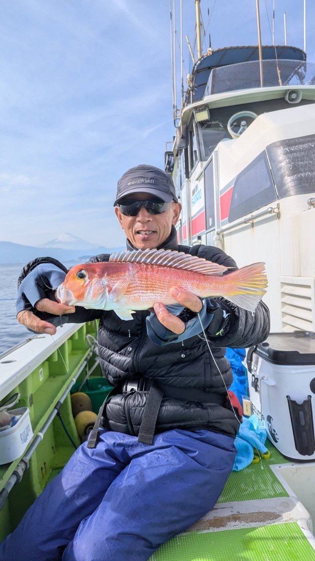 アマダイ(アカアマダイ)