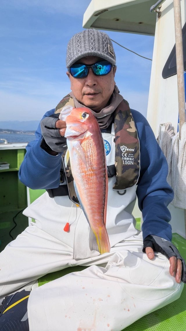 アマダイ(アカアマダイ)