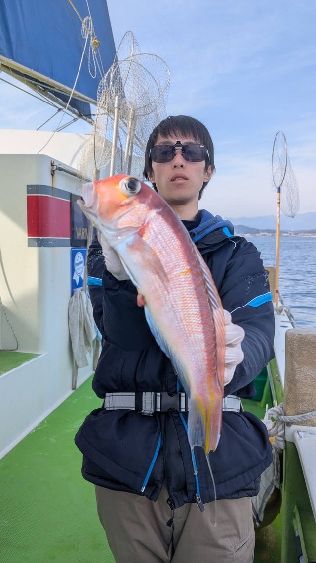 アマダイ(アカアマダイ)