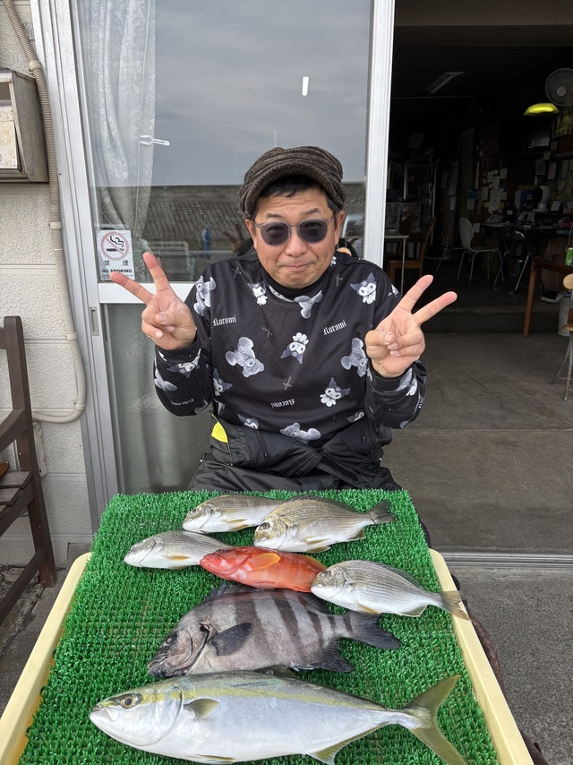 イシダイ・イナダ(ブリ)