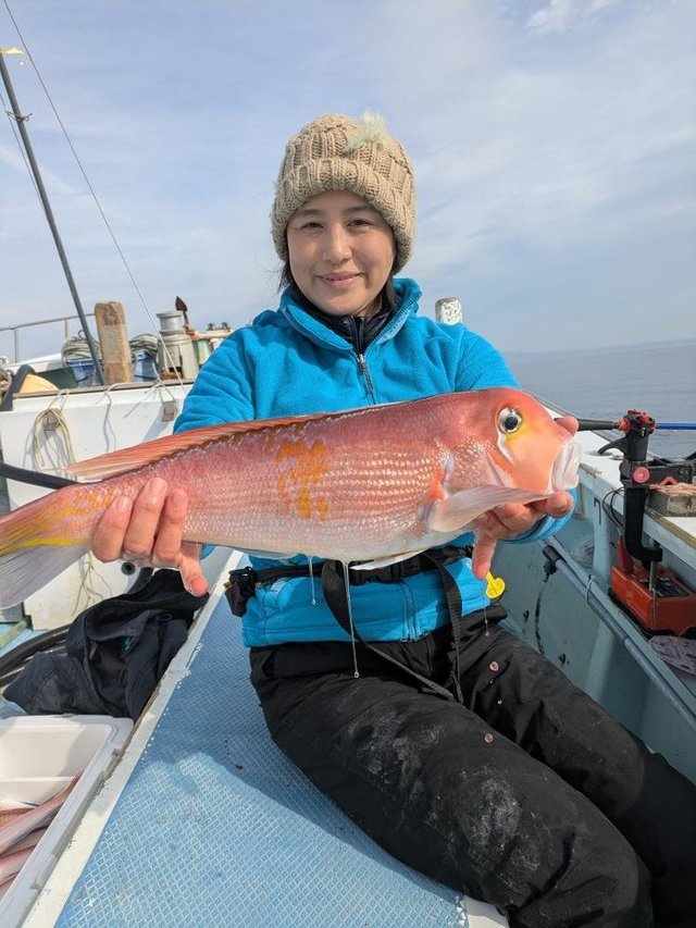 アマダイ(アカアマダイ)