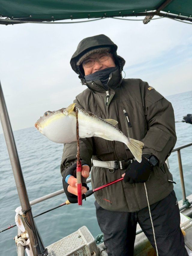 ショウサイフグ