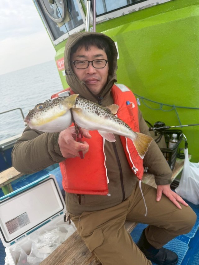 ショウサイフグ