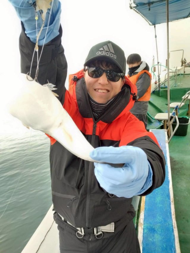 ショウサイフグ